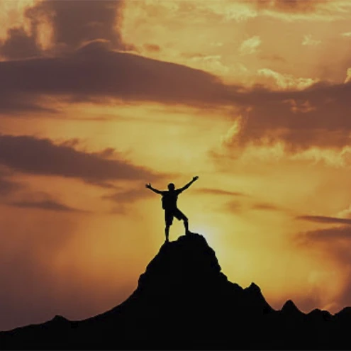 Inteligência Natural. Compreenda como ativar os mecanismos de inteligência natural do seu corpo! Descubra como simplificar sua vida e alcançar a saúde perene. Aprenda como agir estrategicamente no que está impedindo seu corpo de atuar nos mecanismos de inteligência natural em equilíbrio.